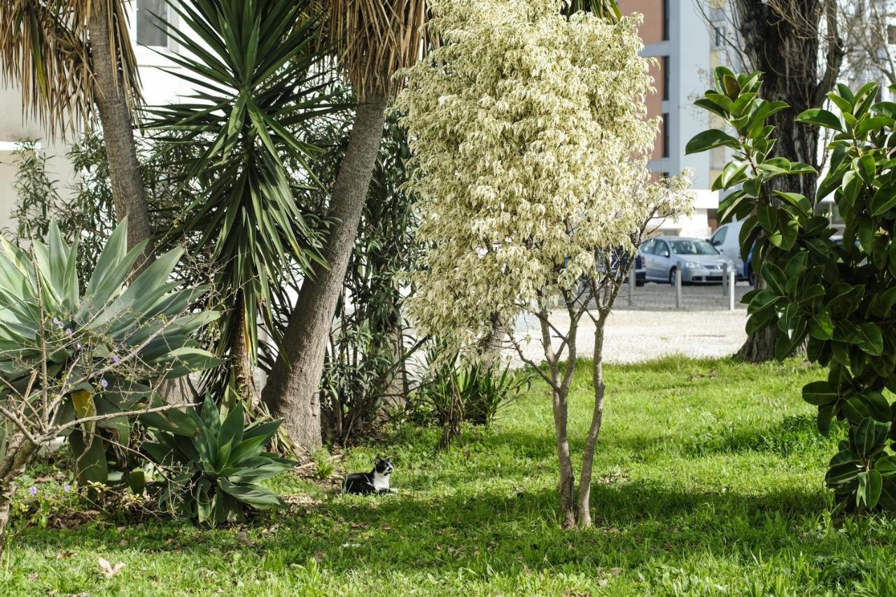 Olive Grove Apartment By Trip2Portugal Lisabona Exterior foto